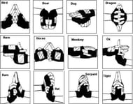 Hand seals in Naruto (Image via Fandomwiki)